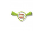 Kit Shrek orejas y dientes Felices para Siempre
