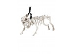 Esqueleto de perro con correa