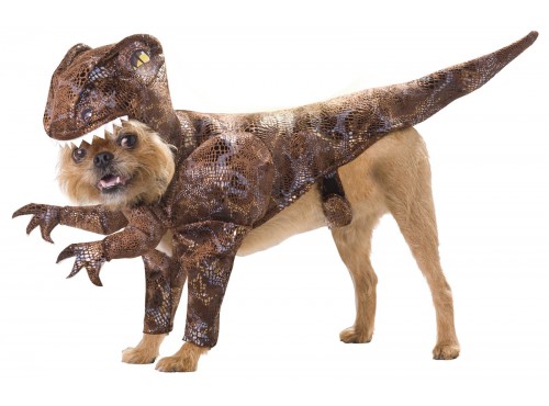 Disfraz de dinosaurio para perro