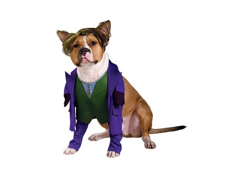 Disfraz de Joker de Batman TDK para perro