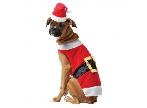 Disfraz de Papa Noel para perro