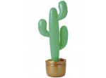 Cactus hinchable